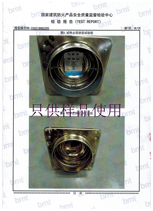 檢測報告 (8)